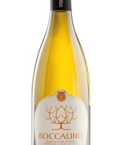 Boccalino Bianchello del Metauro DOC – Terracruda