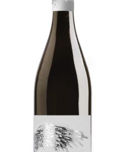 Montepulciano D’Abruzzo DOC – Angelo